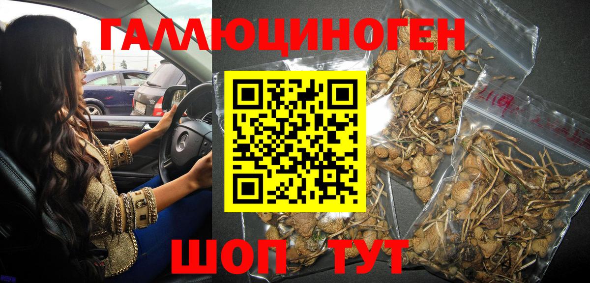 Воронеж  Псилоцибиновые грибы Psilocybe  Вход с VPN  Псилоцибиновые грибы прущие грибы 